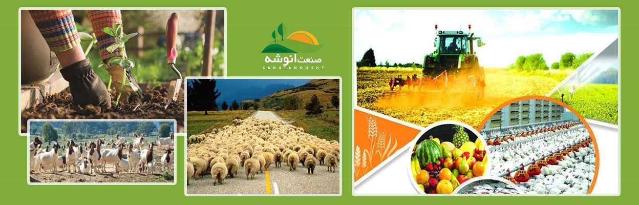 وب سایت صنعت انوشه